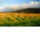Cades Cove