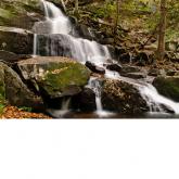 Laurel Falls 2