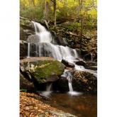 Laurel Falls