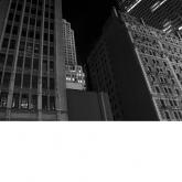 The City